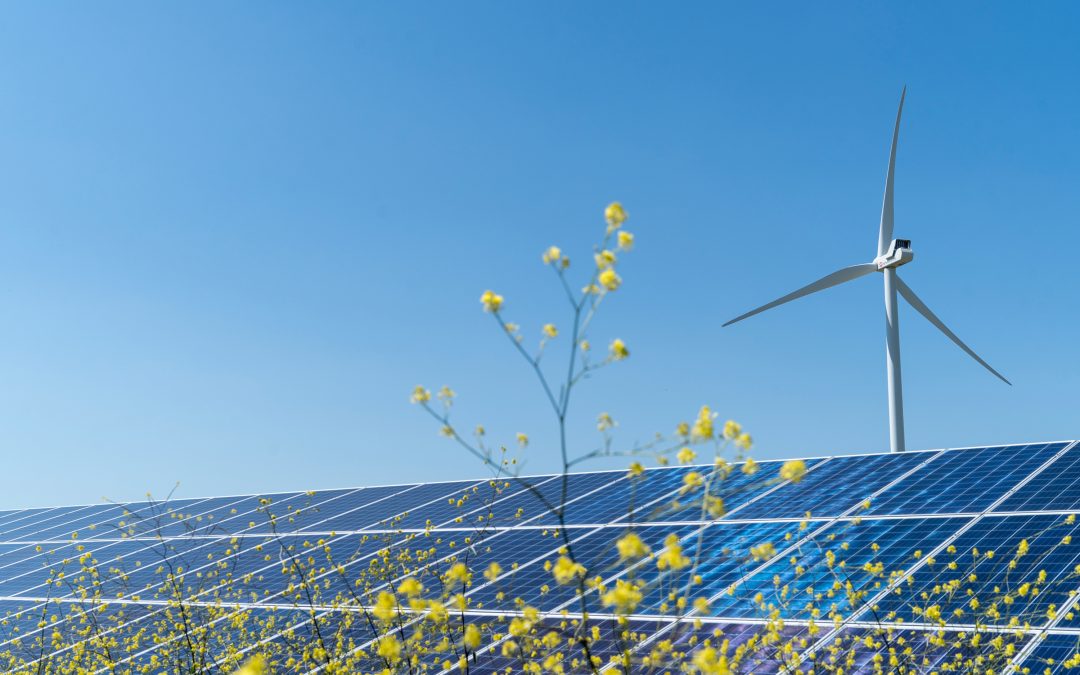 EDPR se adjudica CfDs a largo plazo por 187 MW en las subastas de renovables de España e Italia