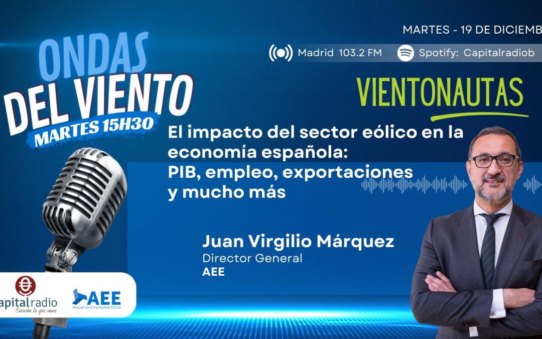 26º programa. El impacto del sector eólico en la economía española