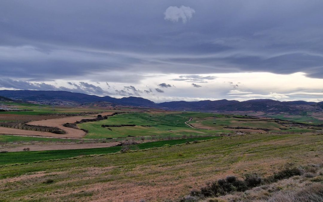 SSE Renewables inicia la construcción de su primer parque eólico terrestre en España