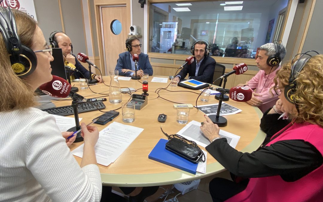 32º programa. Presentación de la Guía de Buenas Prácticas para la Operación, Mantenimiento y Extensión de Vida de Parques Eólicos