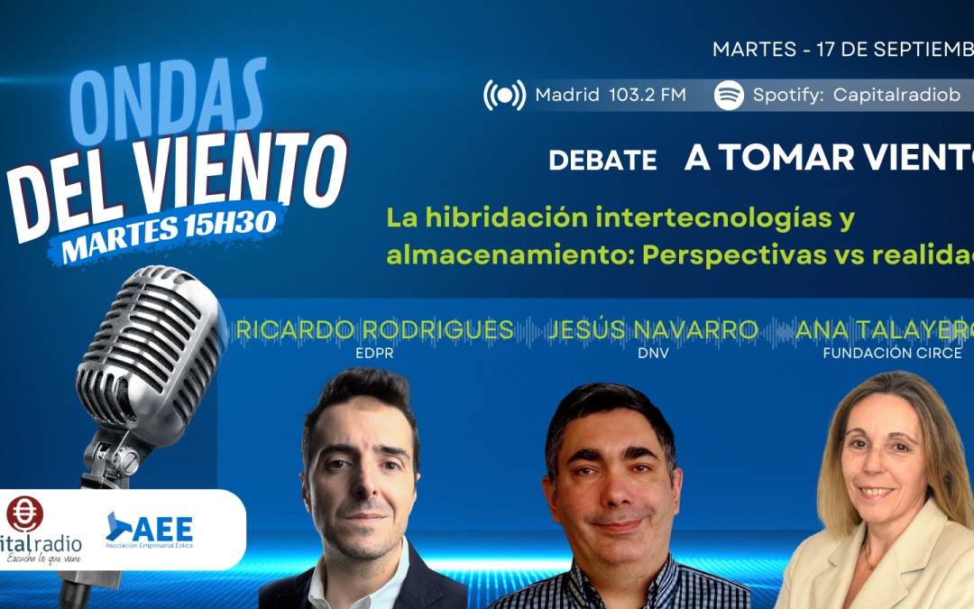 53º programa. La hibridación intertecnologías y almacenamiento: Perspectivas vs realidad