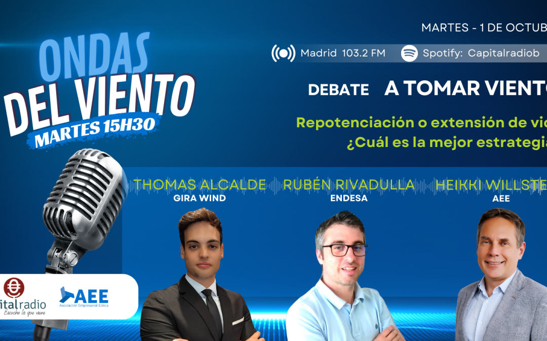 55º programa. Repotenciación o extensión de vida. ¿Cuál es la mejor estrategia?