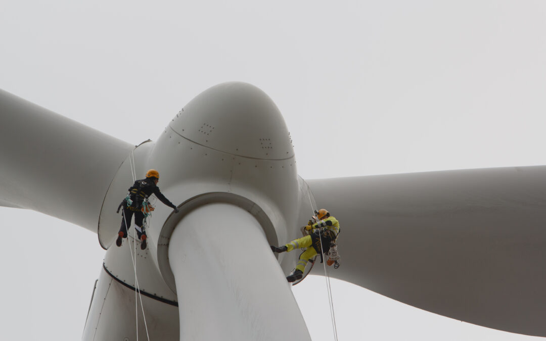 Escasez de perfiles técnicos en el sector de las energías renovables