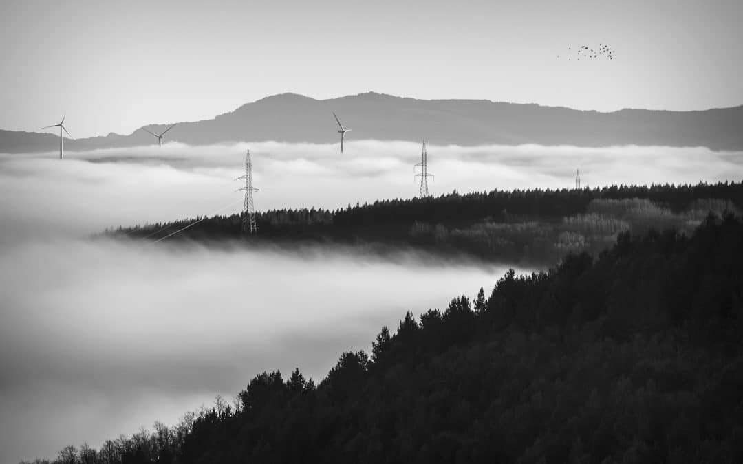 El sector eólico lamenta la no convalidación del Real Decreto-ley 7/2025 y apela a la responsabilidad de los partidos políticos