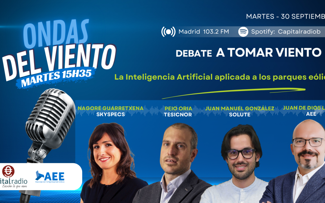 89º programa. La inteligencia artificial aplicada a los parques eólicos