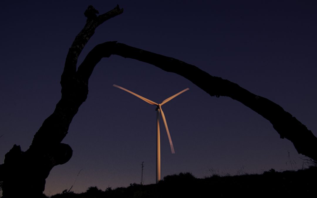 Estupefacción del sector eólico ante la reciente sentencia del TSXG por su impacto en el desarrollo de proyectos eólicos en Galicia