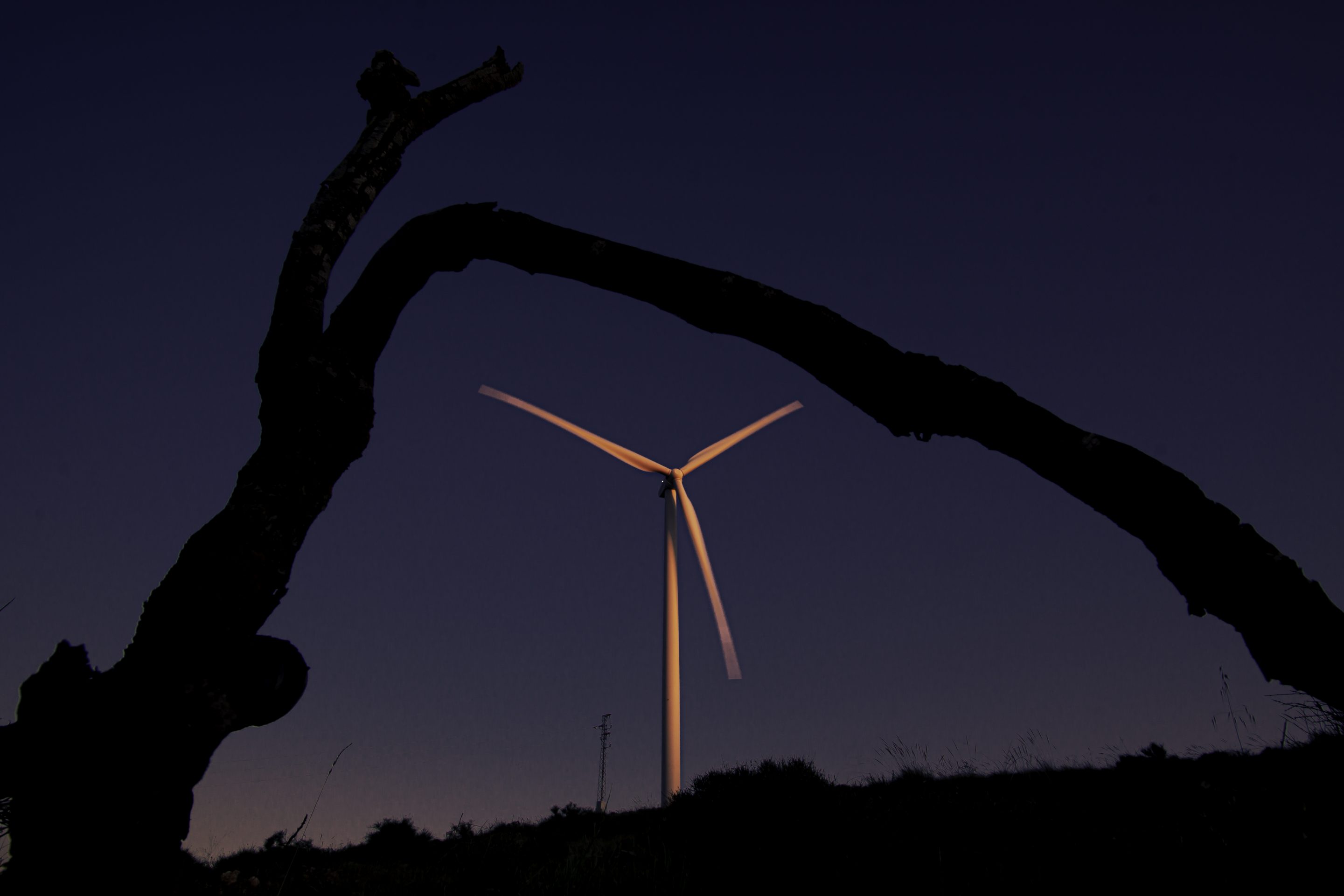 Estupefacción del sector eólico ante la reciente sentencia del TSXG por su impacto en el desarrollo de proyectos eólicos en Galicia