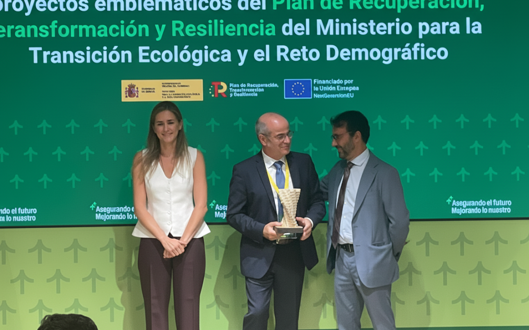 El Ministerio para la Transición Ecológica distingue al proyecto DemoSATH por su contribución transformadora a la transición energética