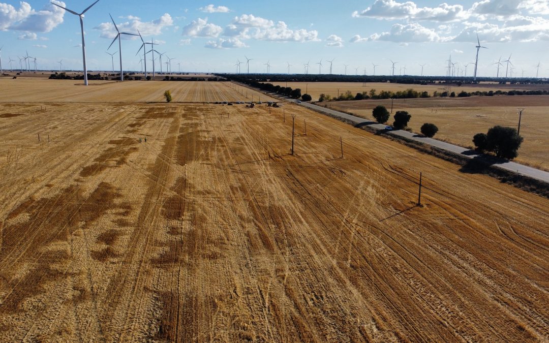 Nadara comienza la construcción de su primer proyecto híbrido de energía solar y eólica en España
