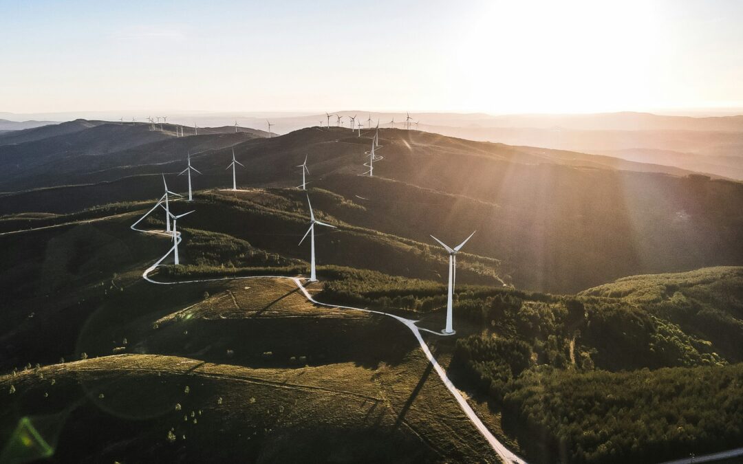 Cómo integrar el diseño y las operaciones para garantizar el P50 en parques eólicos