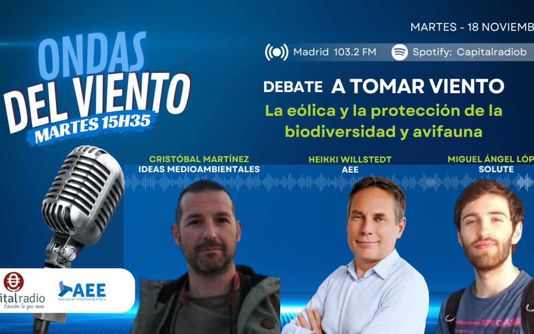 96º programa. La eólica y la protección de la biodiversidad y avifauna