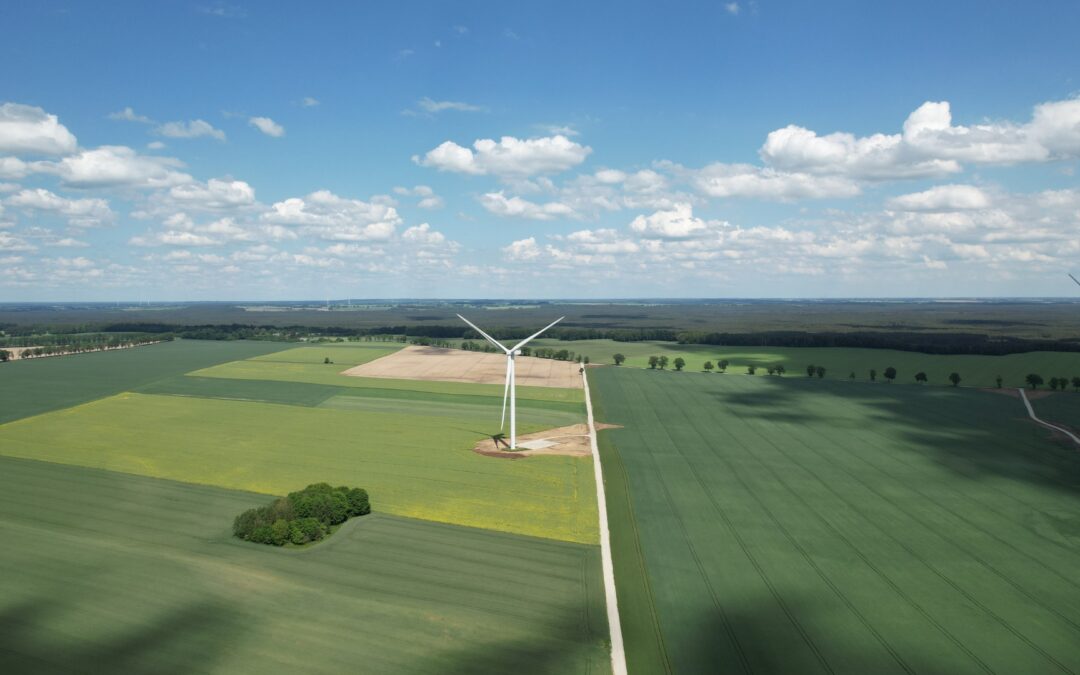 Entran en operación los 53 MW eólicos de Exus Renewables en Polonia tras la ejecución de un PPA