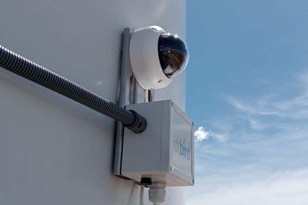DTBird equipa el parque eólico de Ghoubet con sistemas de protección para aves y murciélagos
