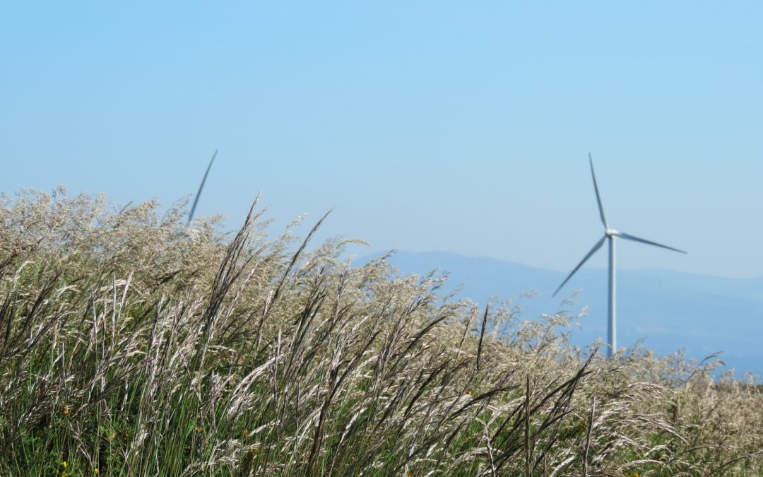 Guerra, energía y economía