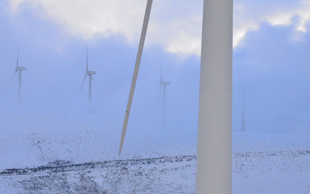 De la inspección física al entorno digital: una nueva aproximación a la verificación industrial en eólica. Un análisis de Trigo Group.