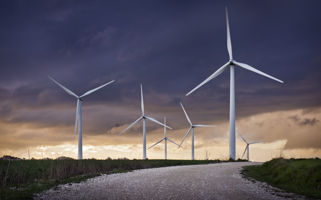 EGA afirma que la energía eólica es esencial para el medio ambiente y la propia vida
