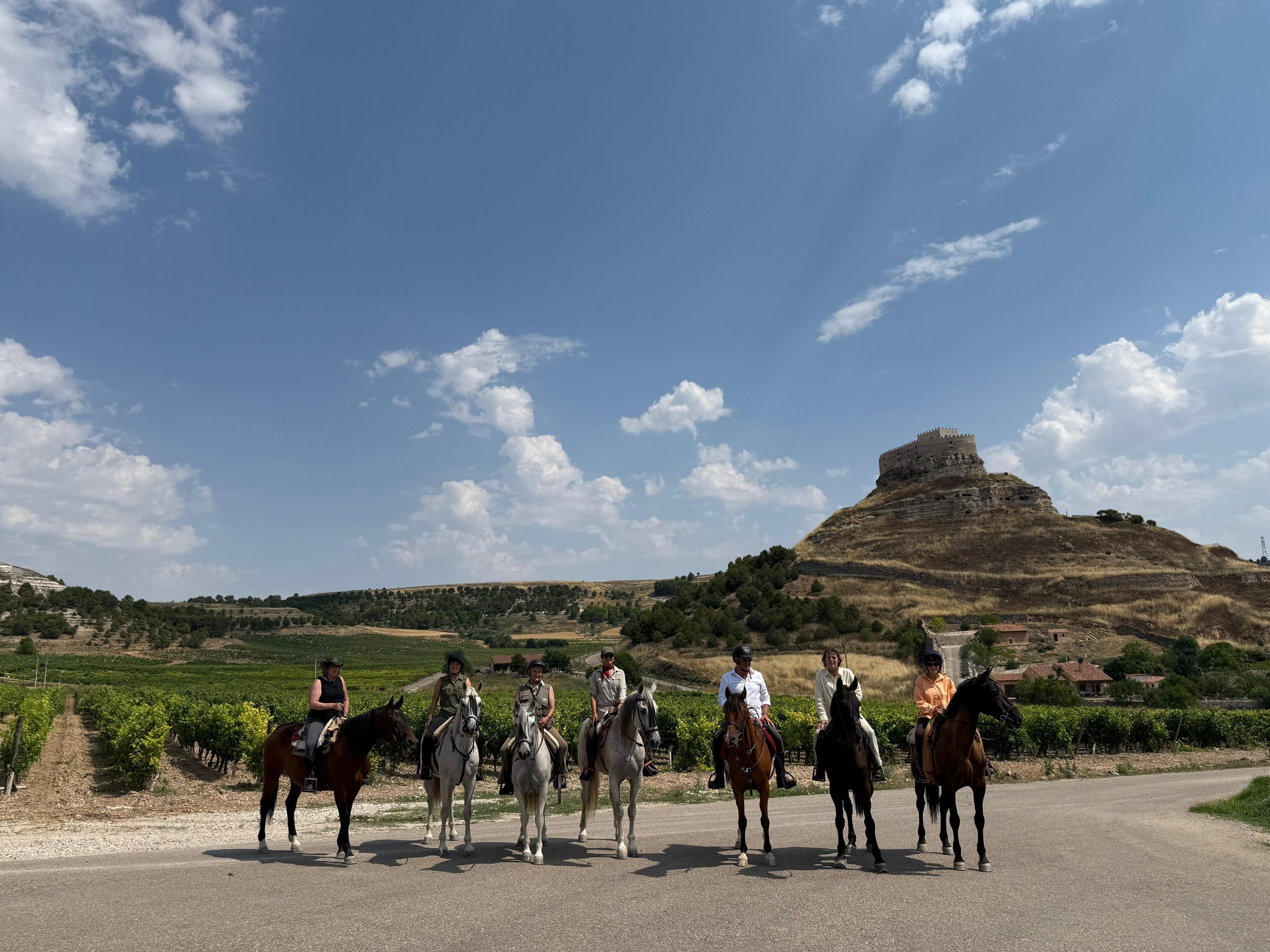 Caballos de Castilla, proyecto seleccionado por el programa ENTAMA de EDP en Burgos