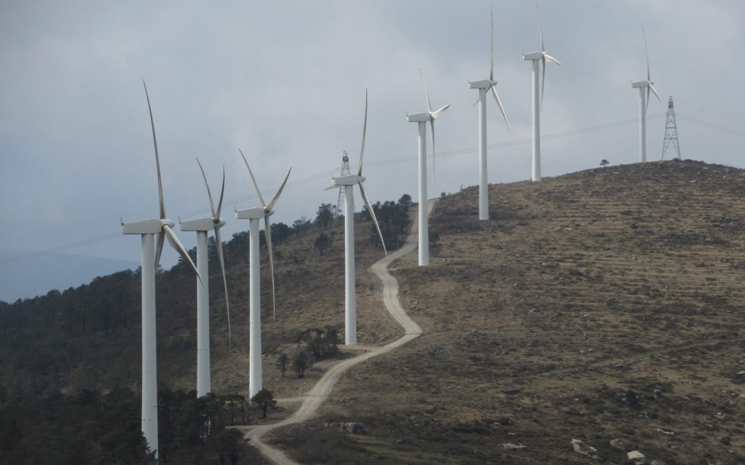 Los retos de las campañas de medición de viento: la perspectiva de Vector Renewables
